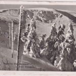 Berlin - 20 Pfg. Olympia Karte n. AUSTRALIEN Freilassing 31.3.53 Zensur + Retour !