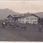Bayern - Sonthofen (?) Bauerhof priv. sw-Foto-AK ungelaufen 1924