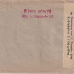Österreich - 80 H. Wappen Brief Wien - Marktredwitz 1920 Devisenzensur