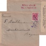 Österreich - 80 H. Wappen Brief Wien - Marktredwitz 1920 Devisenzensur