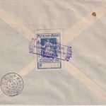 Ungarn/Serbien - 2x12 f. Turul ua. Einschreibebrief Pancsova - Marktredwitz 1910