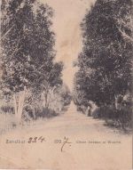 Zanzibar - 1 A. Wappen Karte Zanzibar - Hamburg St. Pauli 1908