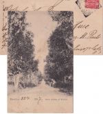 Zanzibar - 1 A. Wappen Karte Zanzibar - Hamburg St. Pauli 1908