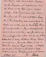 Haiti - 2 C. Ganzsachenkarte Ortskarte Port au Prince 1901