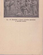 Italien - S. Antonio di Padova 1895 10 C. Privatganzsache ungebraucht Bild 5