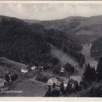 Bayern - Schübelhammer sw-Ortsansicht gelaufen 1931