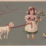 Italien/Österreich - Padua 1908 Karte n. ÖSTERREICH (Hohenems) Nachporto