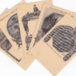 Bayern - 1. bayer. Landwehr-Division 5 versch. "Kriegspostkarten"/Feldpost 1917