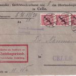 DR - 3x10 Pfg. Korbdeckel/Dienst Ortszustellurkunde Celle 30.10.1924