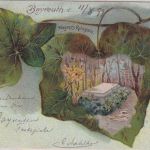 Bayern - Bayreuth Neuenmarkt I Bahnpost K1 Übernahme Bayreuth Karte 1899