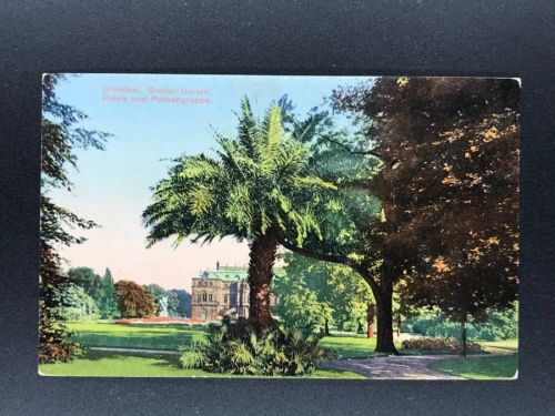 Ansichtskarte Dresden Großer Garten mit Palais und Palmen - nicht gelaufen