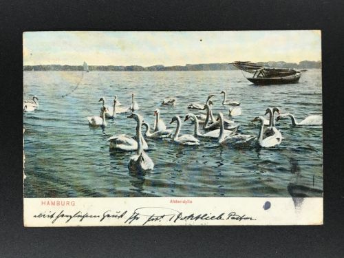 Ansichtskarte Hamburg - Alsteridylle - Schwäne -1906