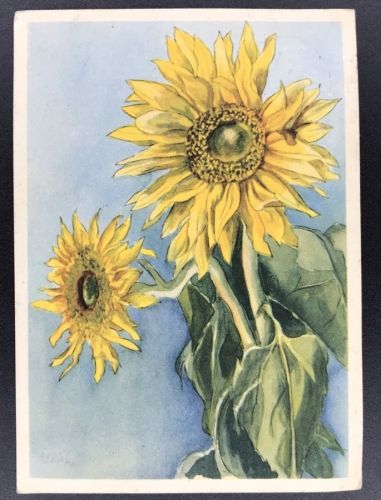 AK Dt. Reich - Blumen - Sonnenblumen - gelaufen 1941