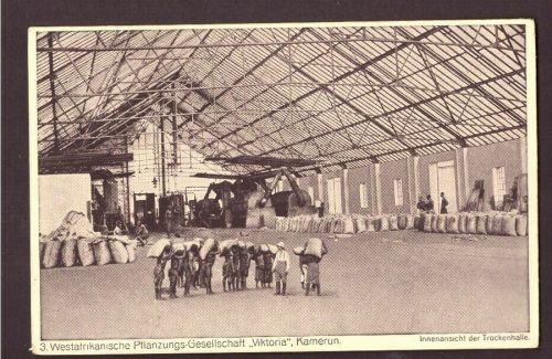 Ansichtskarte Kamerun Innenansicht der Trockenhalle