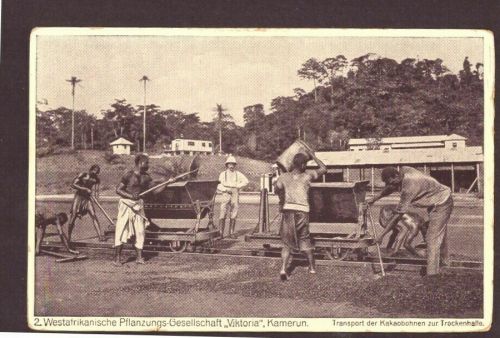 Ansichtskarte Kamerun Transport der Kakaobohnen zur Trockenhalle