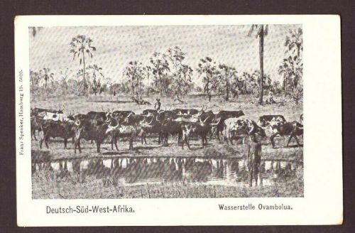 Ansichtskarte Deutsch Süd West Wasserstelle Ovambolua