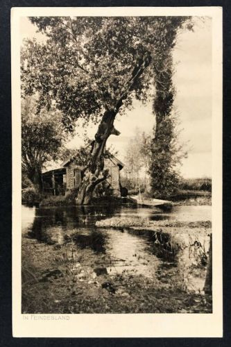 Feldpostkarte - Im Feindesland 1916