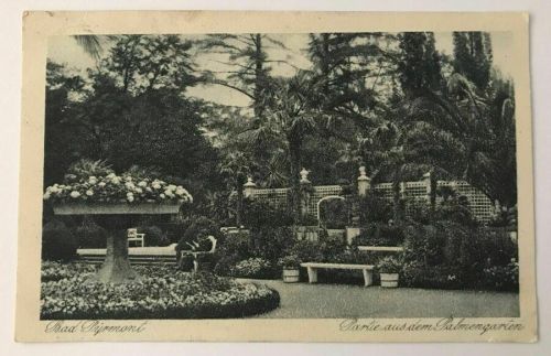 AK Bad Pyrmont - Partie aus dem Palmengarten - 3.8.1922