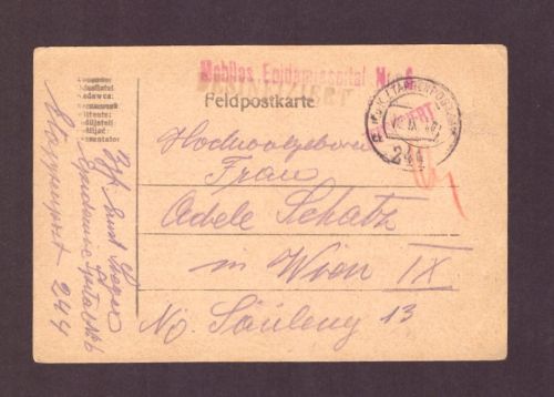 Feldpost 1. WK Etappenpost 244 "desinfiziert" nach Österreich / Wien 1917