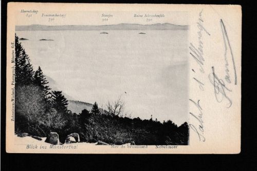 Ansichtskarte Blick ins Münstrthal - Altenberg Elsass - 1905 nach Paris