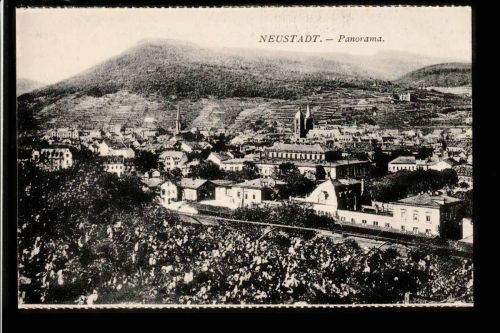 Ansichtskarte Blick auf Neustadt - Panorama - ungebraucht um 1910