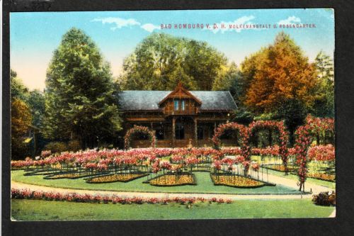 Ansichtskarte Bad Homburg - Molkenanstalt und Rosengarten - um 1910