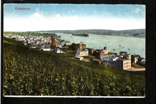 Ansichtskarte Rüdesheim am Rhein - 1920 beschriftet