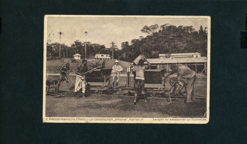 Ansichtskarte Kamerun Pflanzungs Gesellschaft - gelaufen in Deutschland