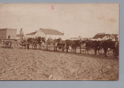 Dt. Kolonien Südwestafrika , Foto Ansichtskarte 1913
