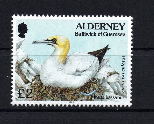 Alderney Michel Nummer 82 postfrisch