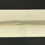 Vorphila Brief 1856 siehe Bilder