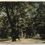 AK Baden-Baden - Lichtenthaler Allee - Feldpost - 26.1.1917 n. Coburg