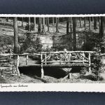 Foto Ansichtskarte Kottmarberg-Baude b. Waldorf 1942