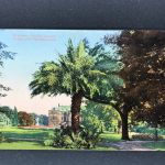 Ansichtskarte Dresden Großer Garten mit Palais und Palmen - nicht gelaufen