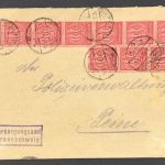 Dt. Reich Dienstmarken MeFr Mi. Nr. 24 - Versorgungsamt Braunschweig 1923