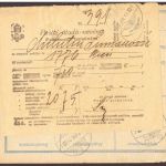 Österreich Einzelfrankatur Einschreiben Paketkarte Wien - Ungarn 1918