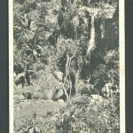 Ansichtskarte Deutsch Ostafrika , Wilhelmstal Wasserfall-Partie