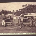 Ansichtskarte Kamerun Transport der Kakaobohnen zur Trockenhalle
