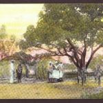 Ansichtskarte Deutsch Süd West Partie aus dem Hererodorf Otavi