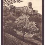 Ansichtskarte nach Spanien / Madrid / Heidelberg