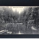 Ansichtskarte Bad Grund - Harz - Stiller See - Verlag Stengel 1925 n. USA