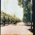 Ansichtskarte USA Palmetto Avenue Los Angeles California - 1908