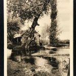 Feldpostkarte - Im Feindesland 1916