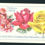 DDR Markenheftchen Michel Nummer 6I-1 postfrisch - vollständig