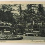 AK Bad Pyrmont - Partie aus dem Palmengarten - 3.8.1922