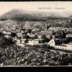 Ansichtskarte Blick auf Neustadt - Panorama - ungebraucht um 1910
