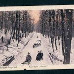 Ansichtskarte Stuttgart Degerloch Rodelbahn Waldau 1917