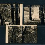 Berlin Michel Nummer 75 - 79 gestempelt Sonderstempel München - Fotobefund