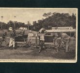 Ansichtskarte Kamerun Pflanzungs Gesellschaft - gelaufen in Deutschland