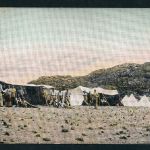 Ansichtskarte Deutsch Südwestafrika - Feldlager Schutztruppen , Swakopmund 1907
